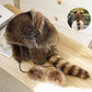 🎁💥Raccoon Tail Fur Parent-Child Plush Hat